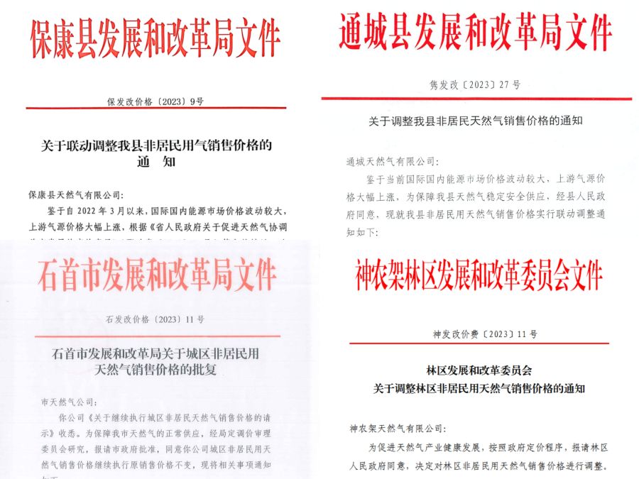 天然氣銷售公司四家城燃非居民氣價順導文件 天然氣銷售公司四家城燃非居民氣價順導文件